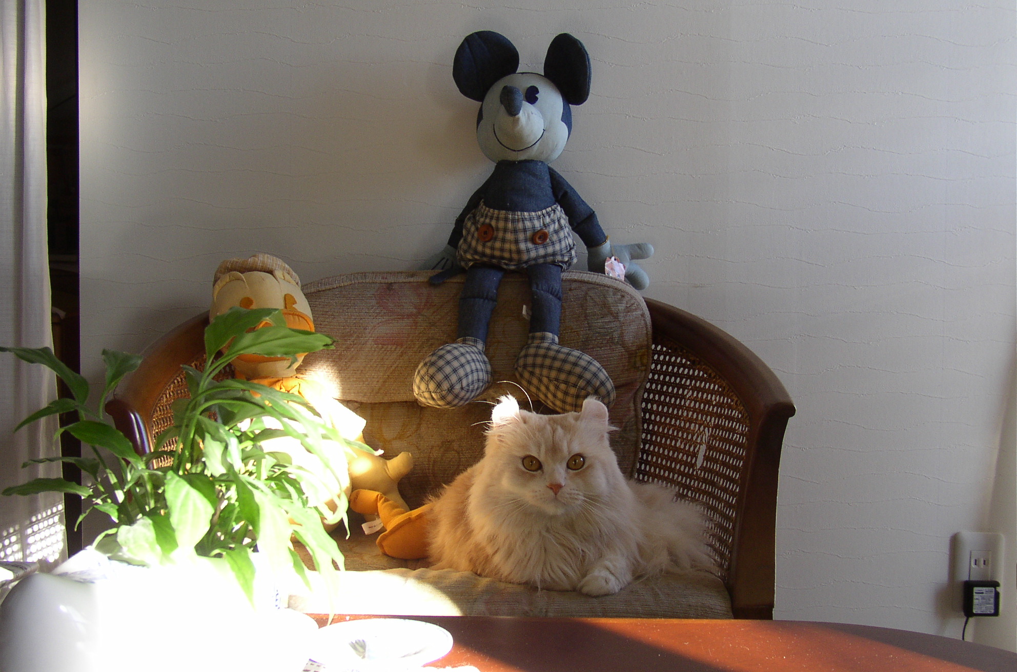 �~�b�L�[�ƈꏏ